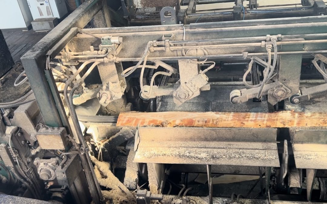 Mohringer Optimizing Edger Installation